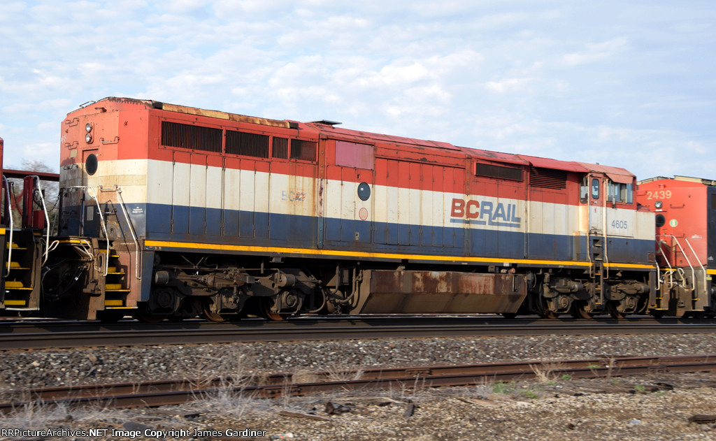 BCOL 4605